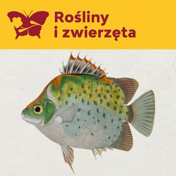 Historia naturalna ryb Georges&apos;a Cuviera audiobook, Międzynarodowe Centrum Kultury