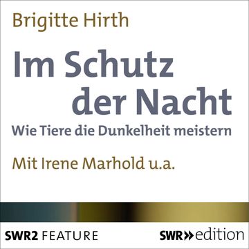 Im Schutz der Nacht audiobook, Brigitte Hirth