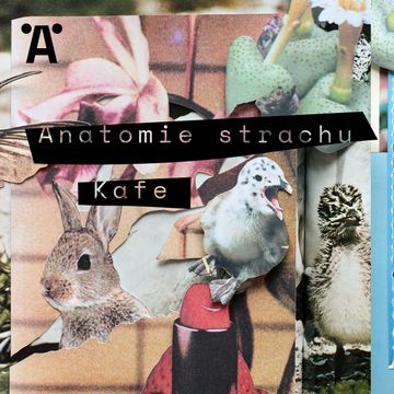 Anatomie strachu E05 audiobook, Brit Jensen, Jiří Slavičínský