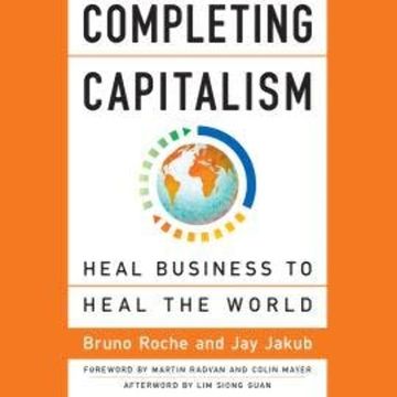 Completing Capitalism - Heal Business to Heal the World (Unabridged) audiobook, Bruno Roche, Jay Jakub