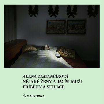 Nějaké ženy a jacísi muži audiobook, Alena Zemančíková