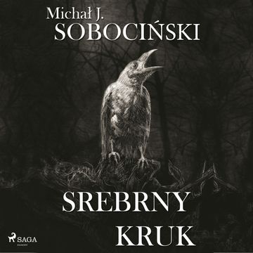 Srebrny kruk audiobook, Michał J. Sobociński