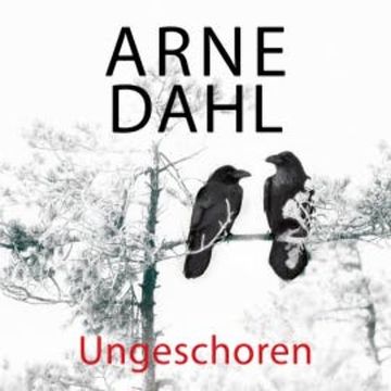 Ungeschoren (A-Team 6) audiobook, Arne Dahl