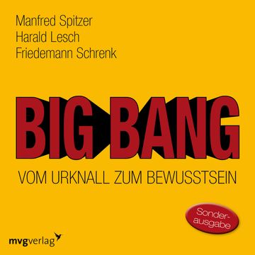 Big Bang: Vom Urknall zum Bewusstsein audiobook, Manfred Spitzer