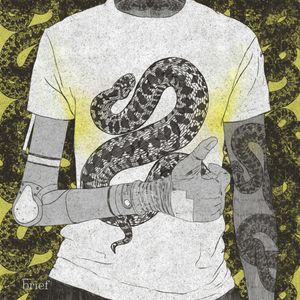 Brief # 77 – Fala upałów, wycinka lasów w Amazonii oraz ręka Luke’a Skywalkera, Outride.rs