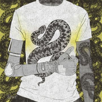 Brief # 77 – Fala upałów, wycinka lasów w Amazonii oraz ręka Luke’a Skywalkera audiobook, Outride.rs