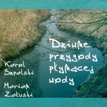 Dziwne przygody płynącej wody audiobook, Karol Szpalski, Marian Załuski