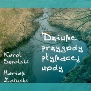 Dziwne przygody płynącej wody, Karol Szpalski, Marian Załuski