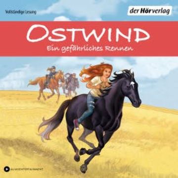 Ostwind - Ein gefährliches Rennen audiobook, Rosa Schwarz