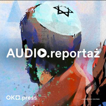 Podziwiamy wasz polski płot na granicy. Dlaczego migranci popierają AfD? audiobook, OKO.press