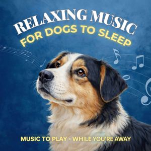 Music to Play - While You're Away: Relaxing Music for Dogs to Sleep, Dog Music Therapy - The Canine Music Lab