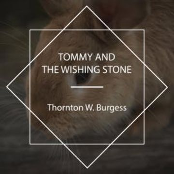 Tommy and the Wishing Stone audiobook, Thornton W. Burgess