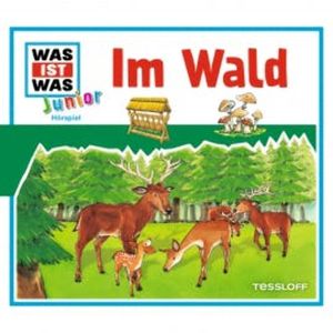 11: Im Wald, Friederike Wilhelmi