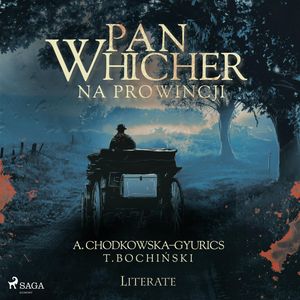 Pan Whicher na prowincji, Tomasz Bochiński