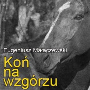 Koń na wzgórzu audiobook, Eugeniusz Małaczewski
