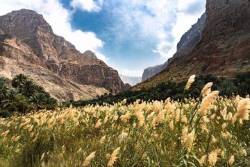 Pouštní Liška: O životě, práci a cestování v Kuvajtu i Ománu audiobook, Matouš Vinš
