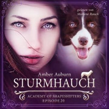 Sturmhauch, Episode 20 - Fantasy-Serie audiobook, Amber Auburn