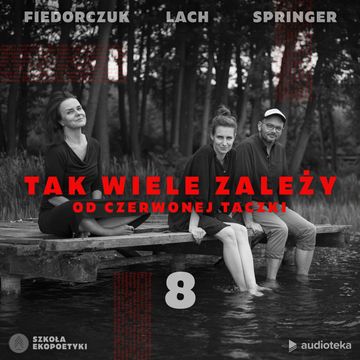 Tak wiele zależy od czerwonej taczki. Odcinek 8. Inne możliwości audiobook, Dyba Lach, Filip Springer, Julia Fiedorczuk