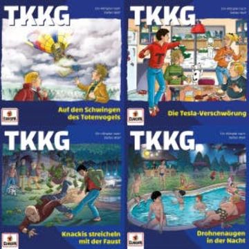 TKKG-Sammlung Folgen 229-232 audiobook, Martin Hofstetter