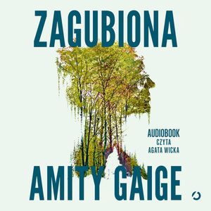 Zagubiona, Amity Gaige