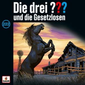 Folge 222: Die drei ??? und die Gesetzlosen audiobook, André Minninger