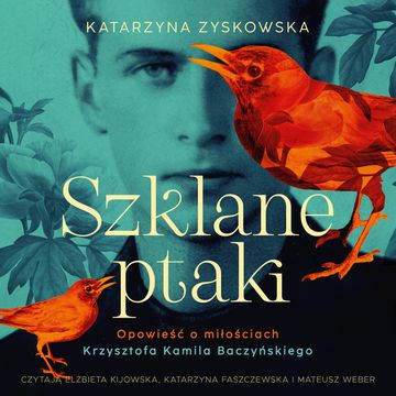 Szklane ptaki audiobook, Katarzyna Zyskowska