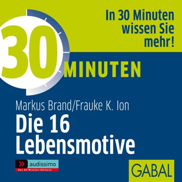 30 Minuten Die 16 Lebensmotive audiobook, Markus Brand
