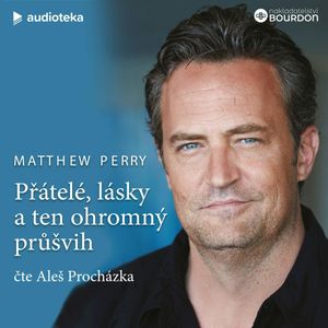 Přátelé, lásky a ten ohromný průšvih, Matthew Perry