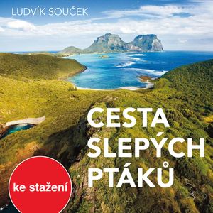 Cesta slepých ptáků, Ludvík Souček