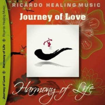 Journey of Love - Harmony of Life audiobook, N.N.