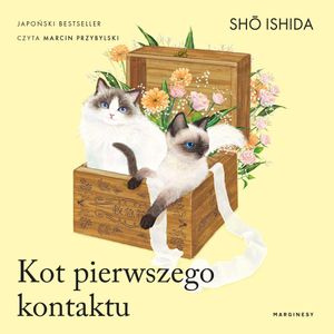 Kot pierwszego kontaktu, Shō Ishida