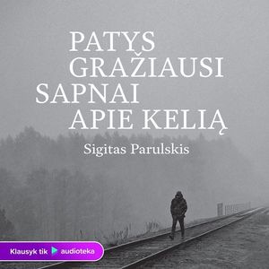 PATYS GRAŽIAUSI SAPNAI APIE KELIĄ, Sigitas Parulskis