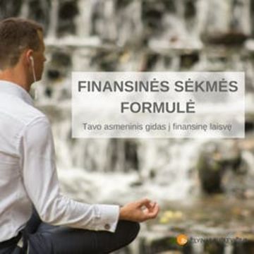 FINANSINĖS SĖKMĖS FORMULĖ. Tavo asmeninis gidas į finansinę laisvę audiobook, Žilvinas Butkevičius
