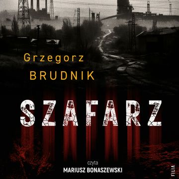 Szafarz. Komisarz Rafał Lichy. Tom 1 audiobook, Grzegorz Brudnik