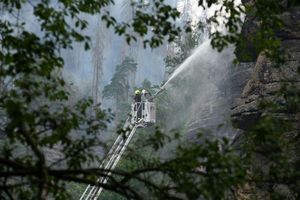 Les se po požáru obnoví sám, větší problém je klimatická krize, Andrea Procházková, Erik Tabery