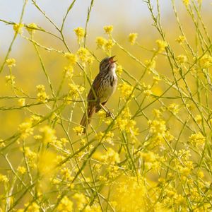 Leśne radio (Adam Zbyrt), Kwartalnik Przekrój