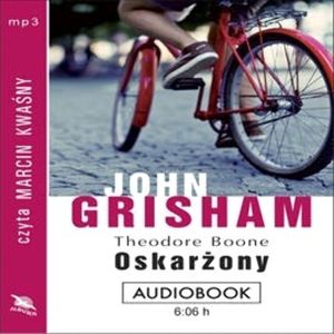 Theodore Boone: Oskarżony, John Grisham