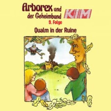 09: Qualm in der Ruine audiobook, Erika Immen
