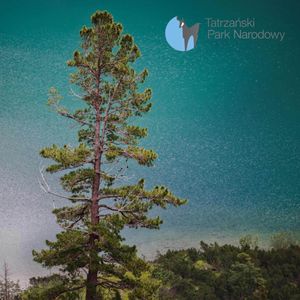 80. Limba - królowa tatrzańskich borów, Bartek Solik