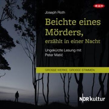 Beichte eines Mörders, erzählt in einer Nacht audiobook, Joseph Roth