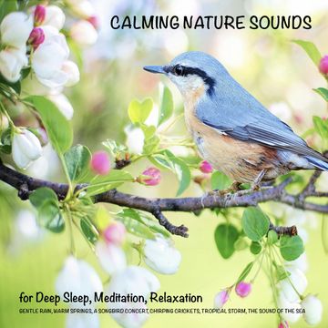 Calming Nature Sounds (without music) for Deep Sleep, Meditation, Relaxation audiobook, Yella A. Deeken