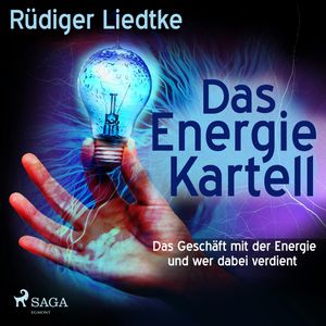 Das Energie Kartell - Das Geschaeft mit der Energie und wer dabei verdient, Rüdiger Liedtke