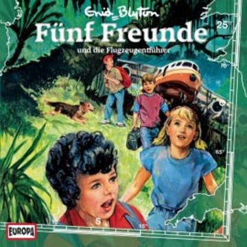 Folge 25: Fünf Freunde und die Flugzeugentführer audiobook, Enid Blyton