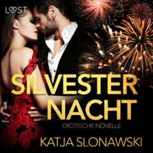 Silvesternacht: Erotische Novelle (Ungekürzt), Katja Slonawski