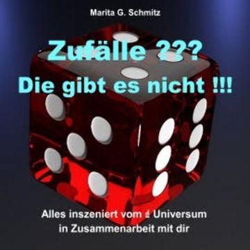Zufälle ??? Die gibt es nicht !!! audiobook, Marita G. Schmitz