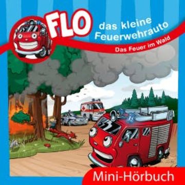 Das Feuer im Wald audiobook, Christian Mörken