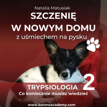 Szczenię w nowym domu z uśmiechem na pysku. Część 2: co koniecznie musisz wiedzieć, Natalia Matusiak