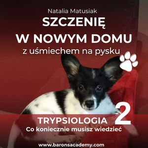 Szczenię w nowym domu z uśmiechem na pysku. Część 2: co koniecznie musisz wiedzieć, Natalia Matusiak