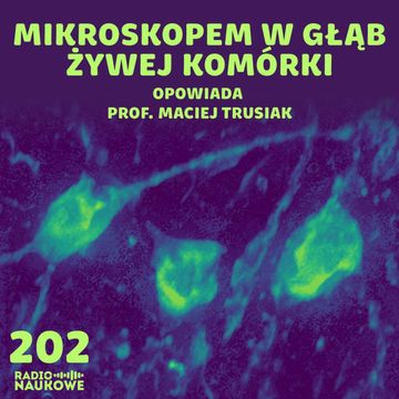 #202 Mikroskopia bezstresowa - nowe pomysły na podglądanie życia | prof. Maciej Trusiak audiobook, Karolina Głowacka