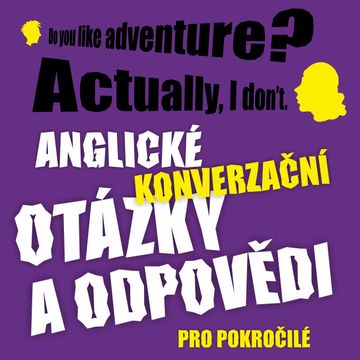 Anglické konverzační otázky a odpovědi pro pokročilé audiobook, Richard Ludvík